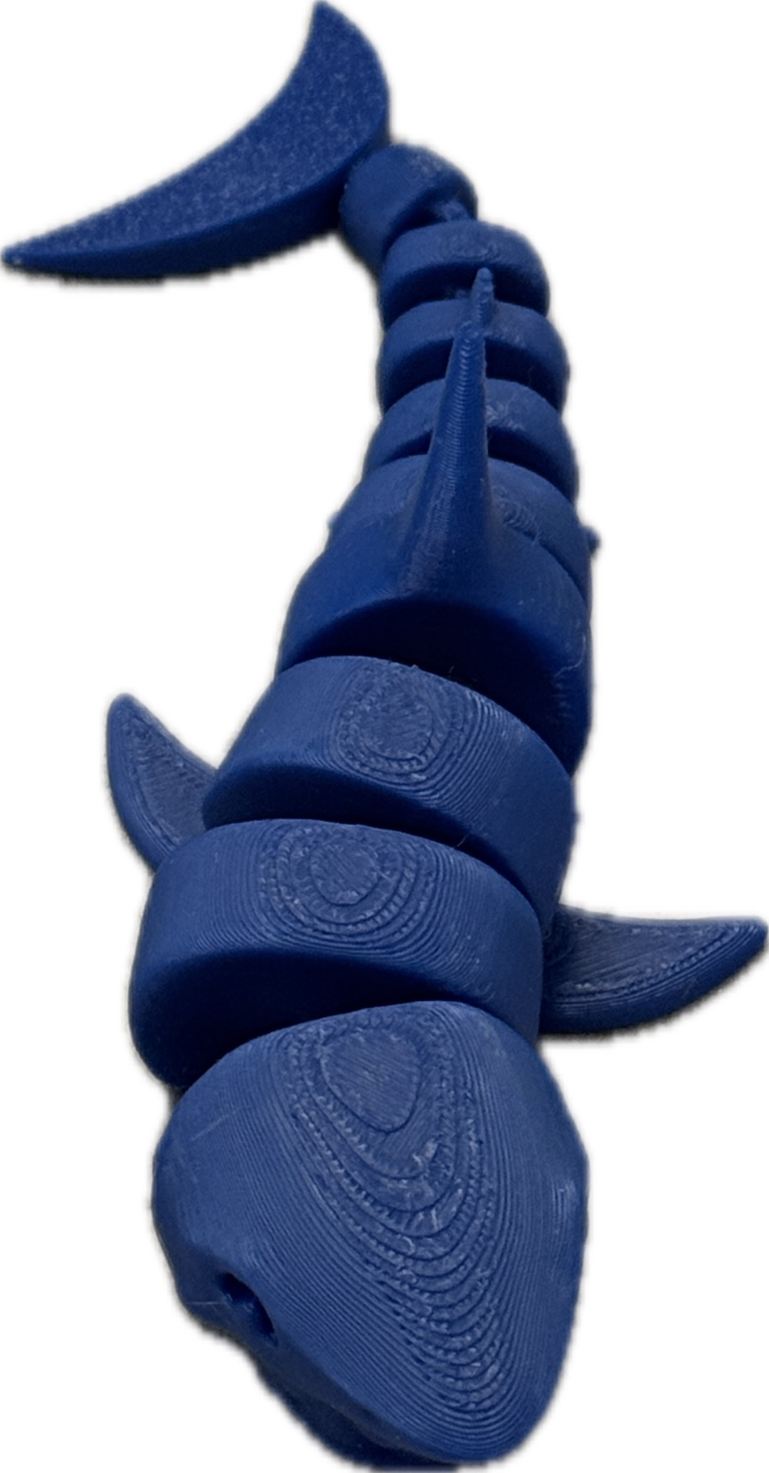 Flexi Shark